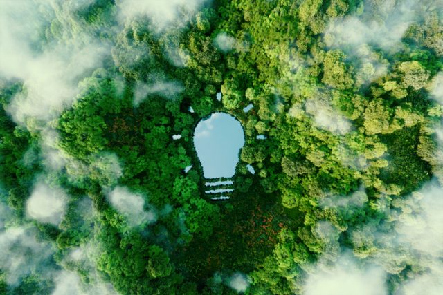 A bulb-shaped lake in the middle of a lush forest, symbolizing fresh ideas, inventiveness and creativity in relation to solving environmental problems