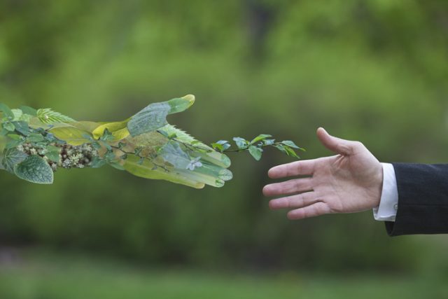 sustainability green hand reaching out